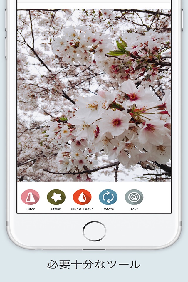 Filter - 写真にフィルタをかけシェアする最もシンプルな無料アプリ screenshot 2