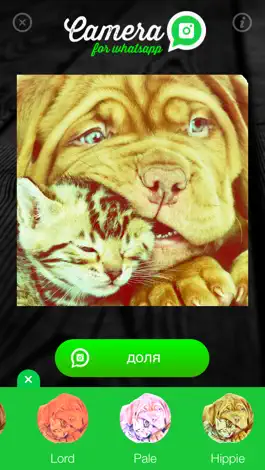 Game screenshot Камера для WhatsApp - поделиться удивительные фотографии с моими друзьями hack