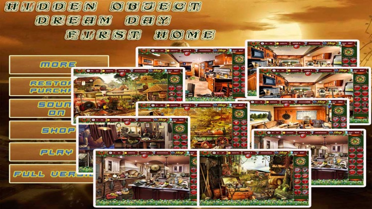 Hidden Object : Dream Day First Home screenshot-4