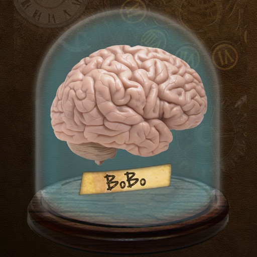 Brain On Brain Off Study Aid