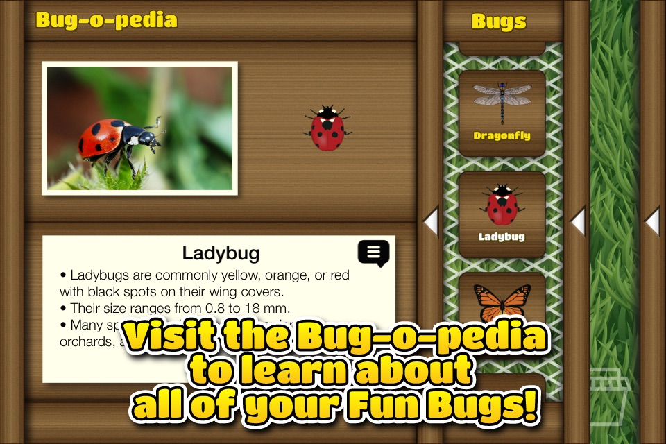 Fun Bugs screenshot 2