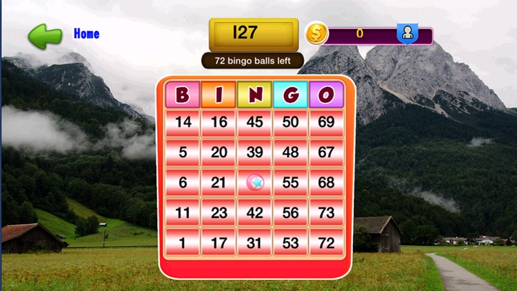 Mountain Bingo Game