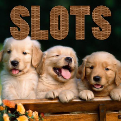 Pet Shop Animals - FREE Slots Game A Solitaire Mobility Casino Machine icon