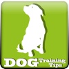 Dog Training Aid