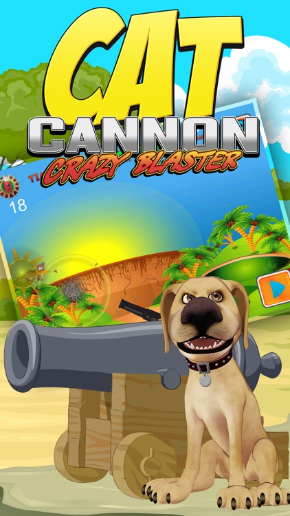 Cat Cannon: Crazy Blaster Quest Adventure