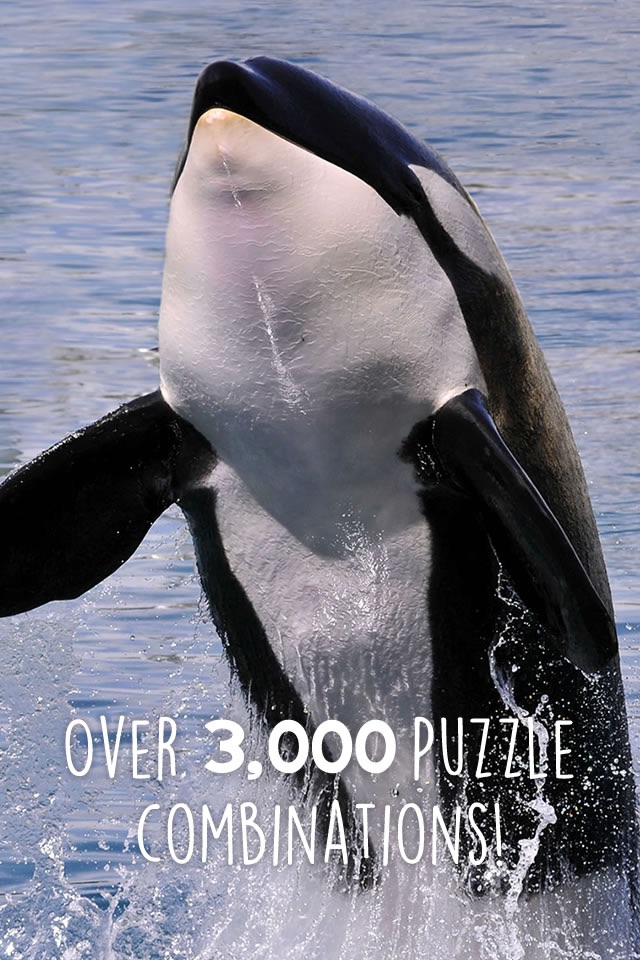 Orca Puzzles for Kids Free Jigsaw Wonder Edition screenshot 3