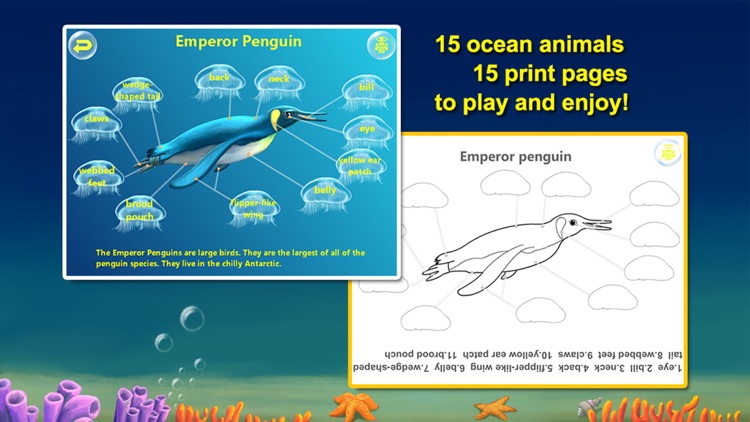 Amazing Ocean Animals- Educational Learning Apps for Kids