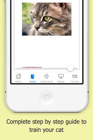 How You Can Train your Cat Free screenshot 2