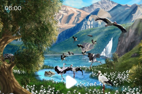 3D Illusions & Nature Sounds screenshot 3