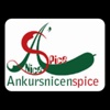 ankursnice