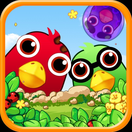 Ace Birds Shaped iOS App