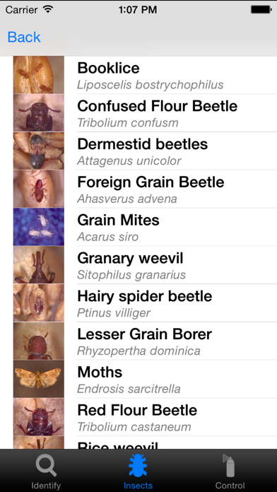 How to cancel & delete Insects in Stored Grain from iphone & ipad 2