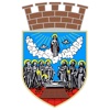 Grad Zrenjanin