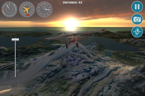 Airplane Fly Bush Pilot screenshot 2