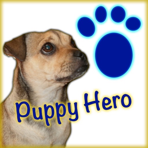 Puppy Hero: The Favorite Adventures of a Pug in Puppy Land Icon