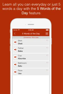 Game screenshot Swahili Primer - Learn To Speak And Write Swahili Language: Grammar, Vocabulary & Exercises hack
