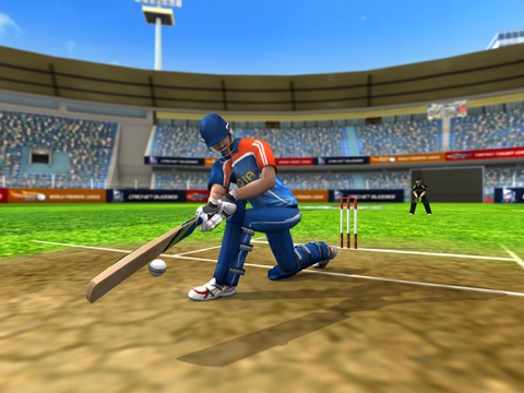 World Cricket Championship Pro screenshot 2
