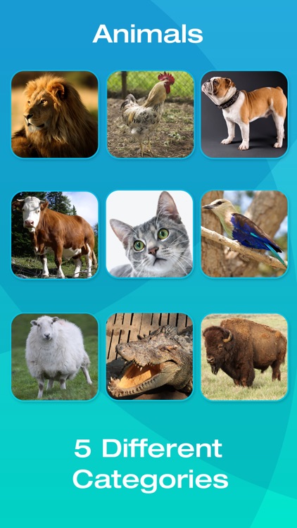 Animal and Tool Picture Flashcards for Babies, Toddlers or Preschool screenshot-3