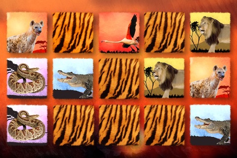 Play with Wildlife Safari Animals - Memo Game photo for preschoolers screenshot 3