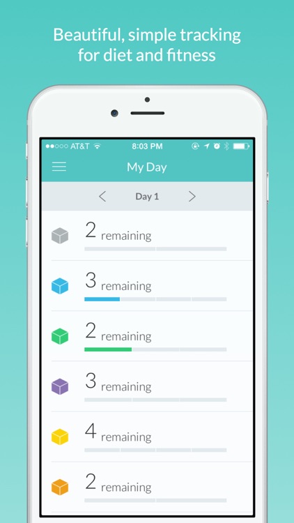 Daily Fitness Tracker