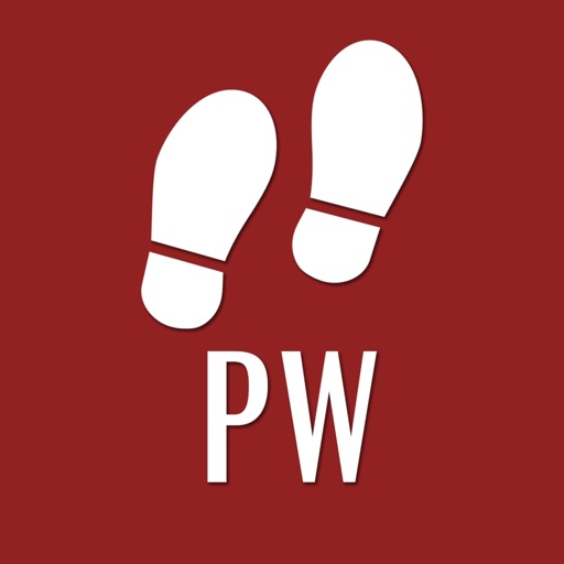 Pedometer Watch icon