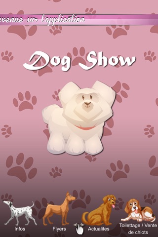 Dog. Show screenshot 2