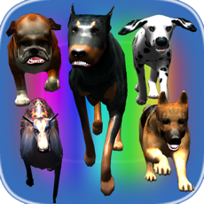 Activities of Dog Simulator: Zombie Catcher 3D
