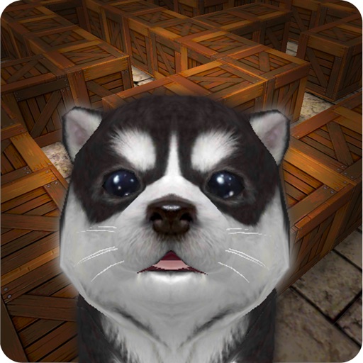 Cu Pup Maze Runner iOS App