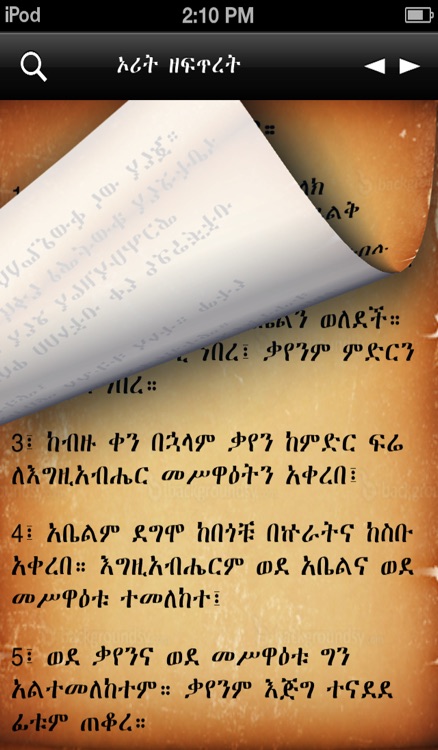 Amharic Bible
