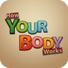 How Your Body Works Australia