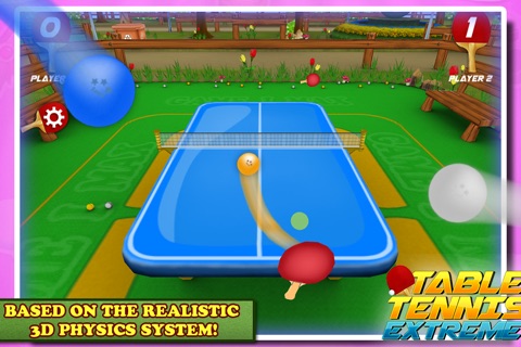 Table Tennis Extreme screenshot 3