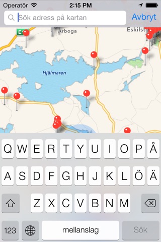 Bensinfinnaren screenshot 2