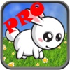 Rabbit Run Pro 1.0