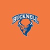 Bucknell Bison Athletics
