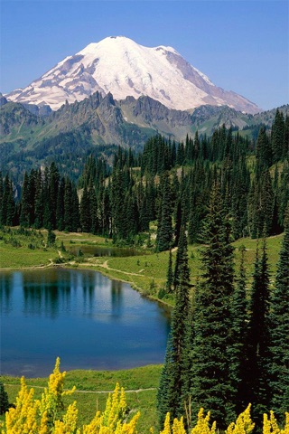 Mount Rainier National Park wallpapers screenshot 2