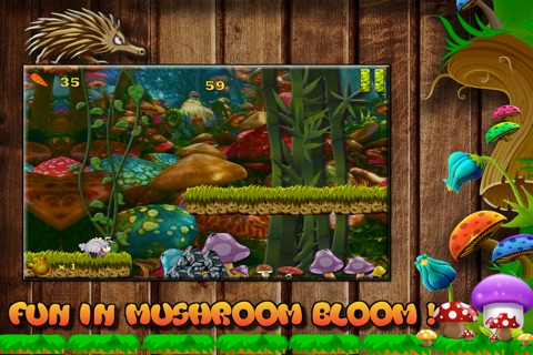 Cute Baby Animals Fun Run in Jungle screenshot 4