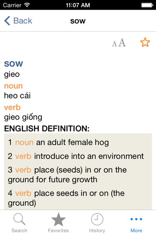 Vietnamese<>English Dictionary screenshot 3