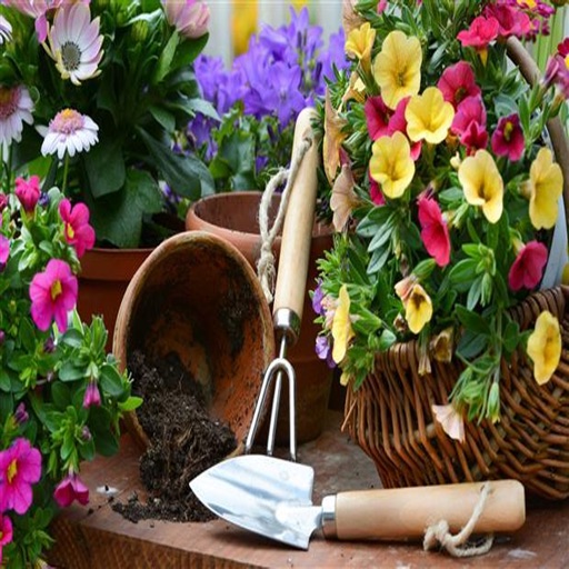 How To Garden - Gardening Guide