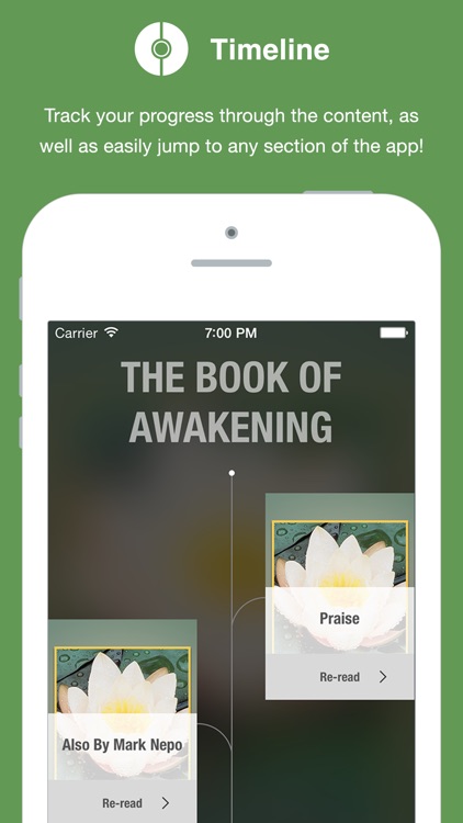 The Book of Awakening
