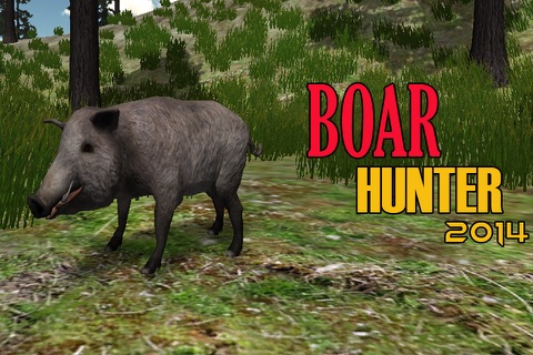 Boar Hunter 2015: Wild Pig Hunt screenshot 2