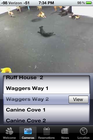 Pooch Vision screenshot 2