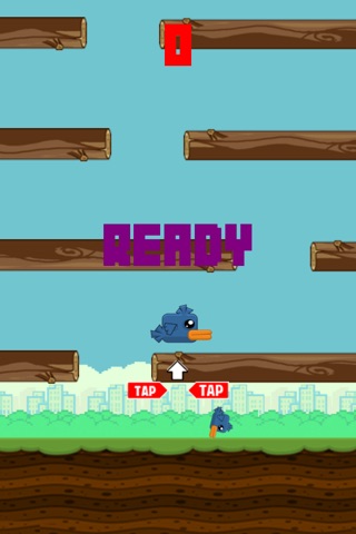 Rolly Bolly - The Bird That Can't Fly! screenshot 2