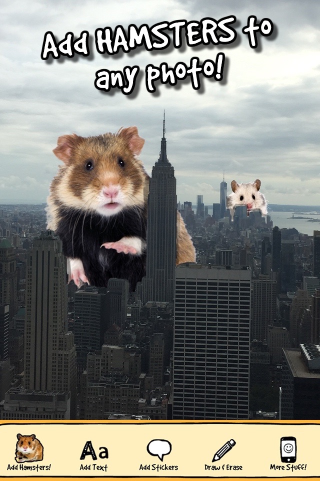 hamstergram - make people hamsters instantly and more! screenshot 2