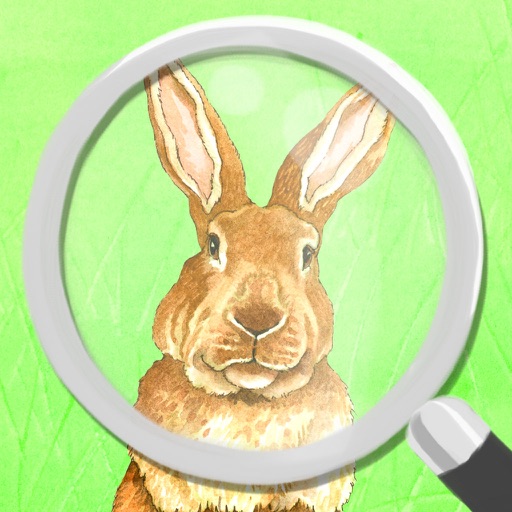 Find the Differences: Easter Bunny Free Edition Picture Search Game for Kids Icon