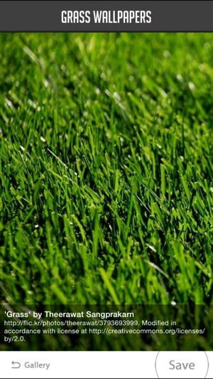 Grass Wallpapers(圖2)-速報App