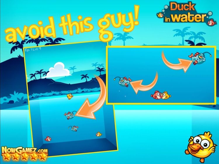 Duck in Water HD - Funny Games a Free Skill Puzzle for Kids screenshot-3