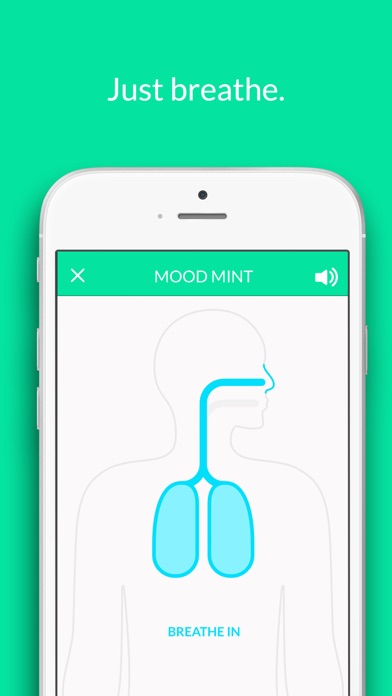 Mood Mint – Boost You... screenshot1