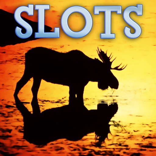 Alaska Animals Slots - FREE Amazing Las Vegas Casino Games Premium Edition icon