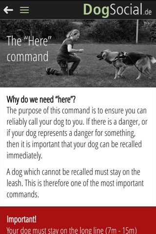 DogSocial Dog Training FREE - Teaching the Basic Commands screenshot 4