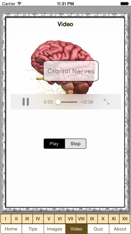 Cranial Nerves Plus screenshot-3